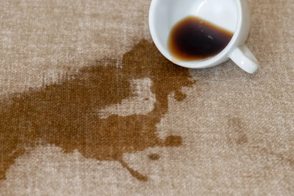 How to Remove Coffee Stains from Carpet