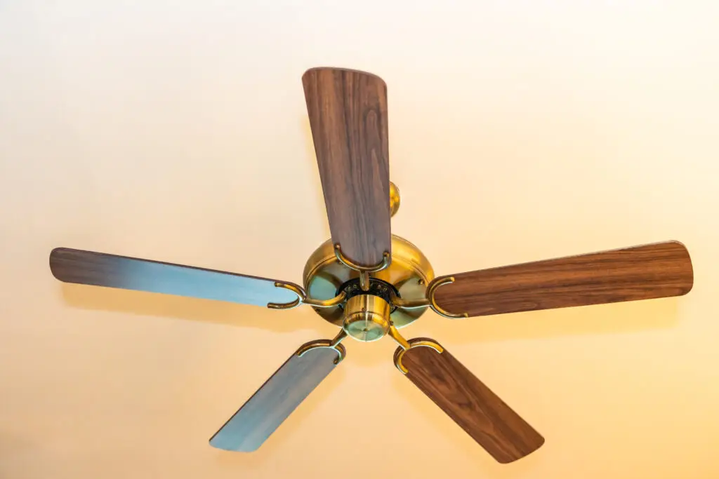 How to clean ceiling fan blades