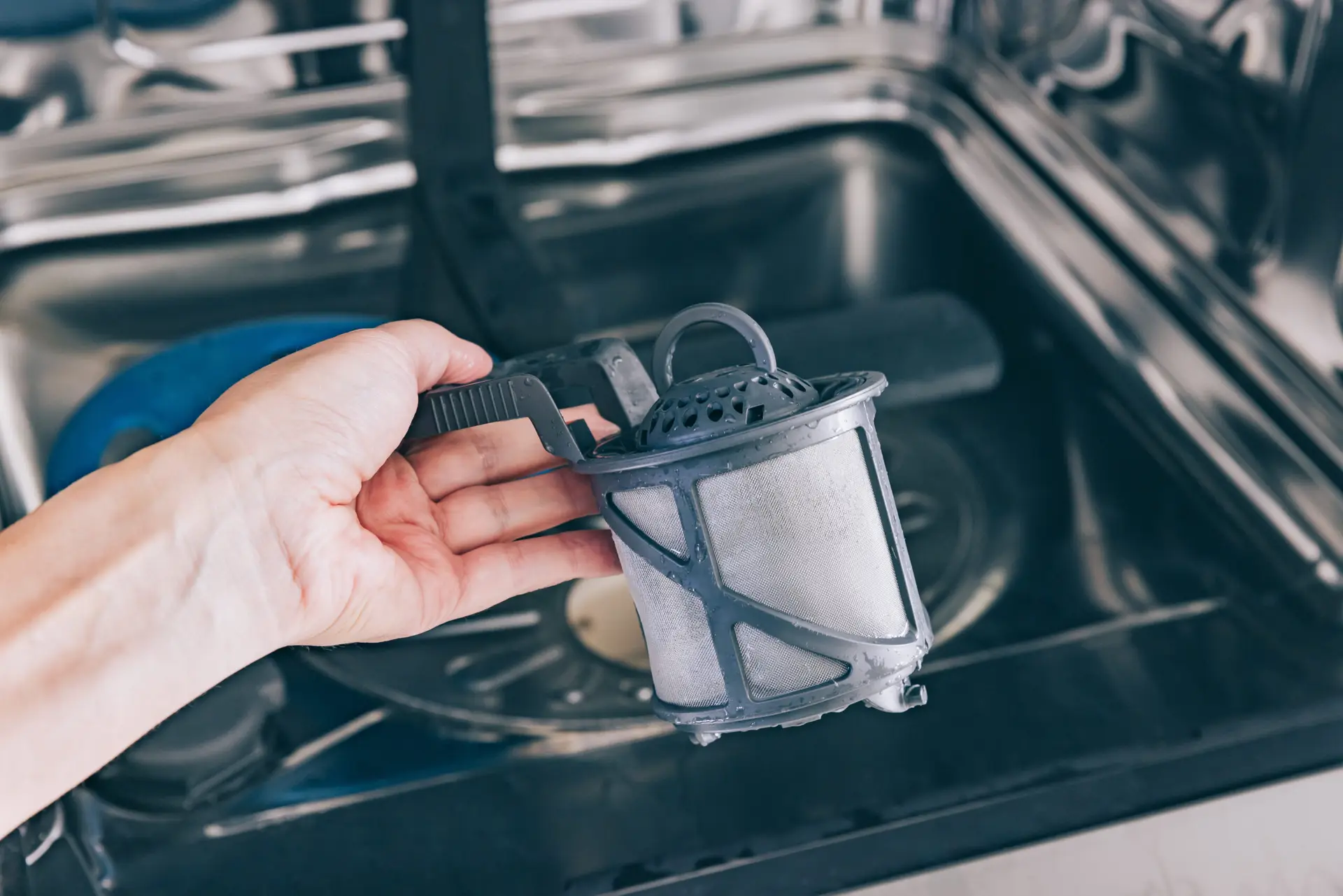 How to Clean a Dishwasher Filter? Maintenance Guide