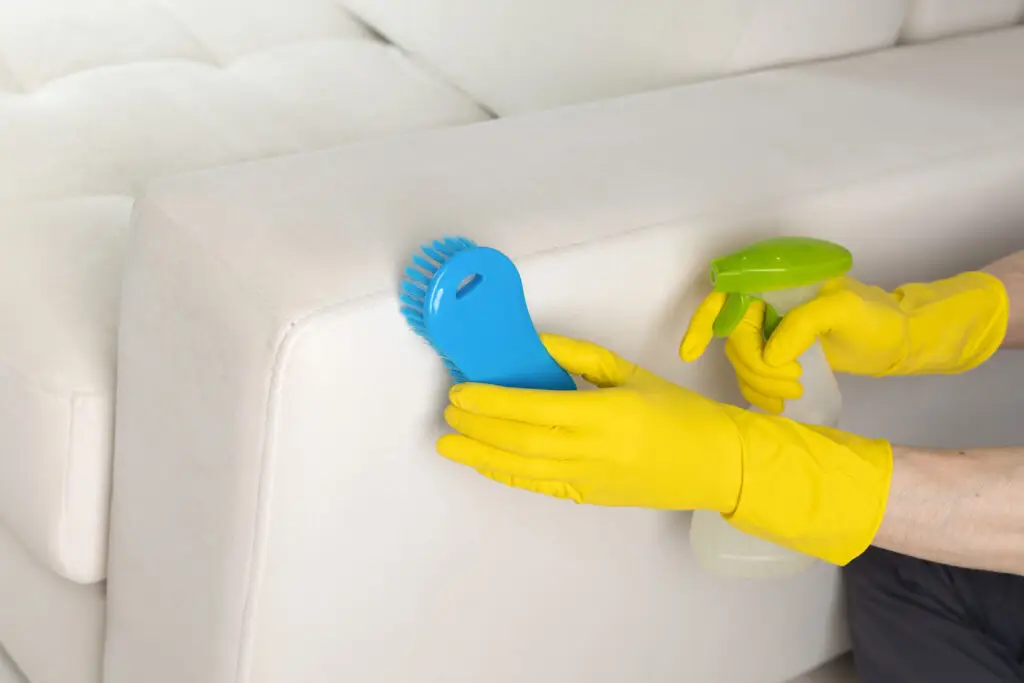 Can You Use Carpet Cleaner on a Couch? The Ultimate Guide