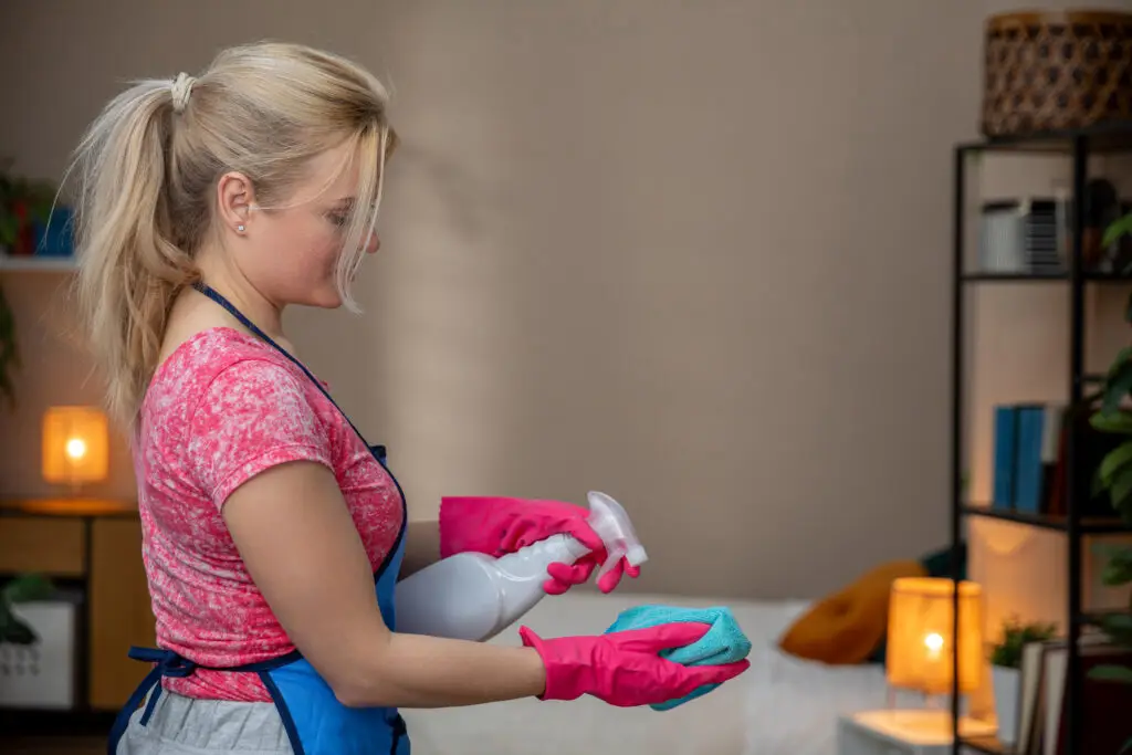 How to Clean a Living Room? A Step-by-Step Guide