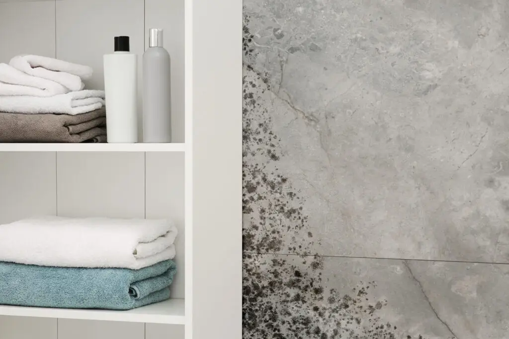 How to Avoid Mold in Your Bathroom? Smart Prevention Tips