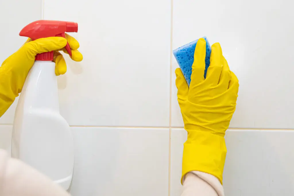 How to Clean Mold in Bathroom? Safe & Effective Guide