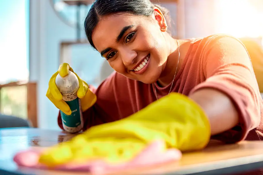 House cleaning services