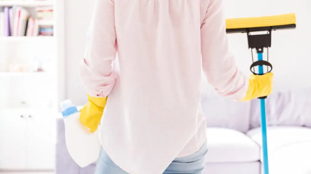 Essential Apartment Cleaning Service Secrets Renters Must Know