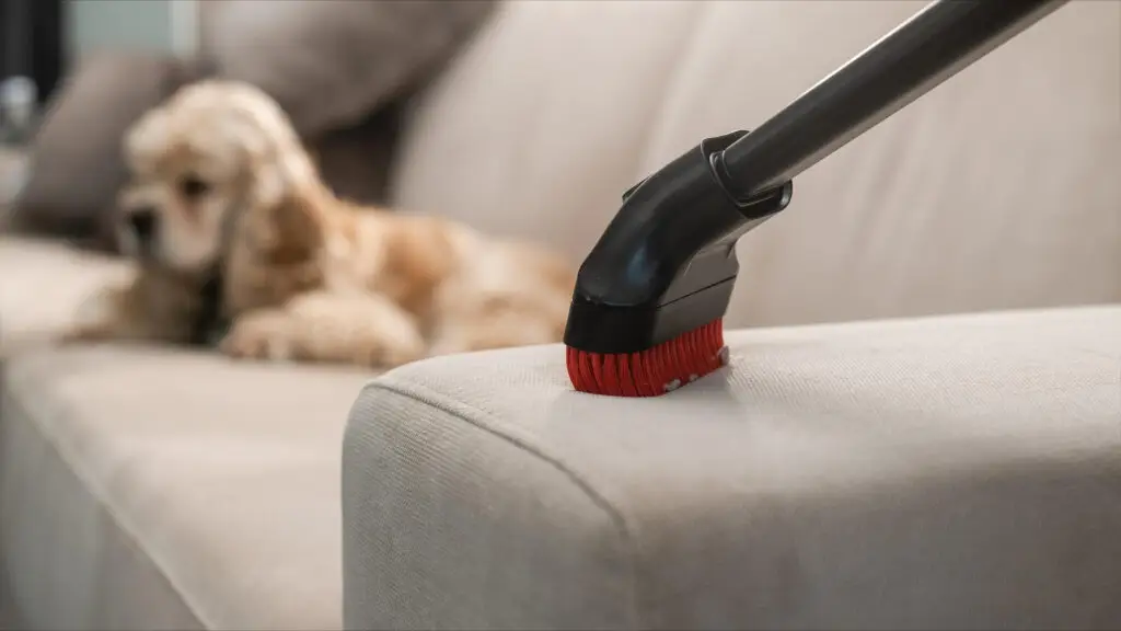 15 Powerful Pet-Friendly Cleaning Service Habits for Healthier, Odor-Free Homes