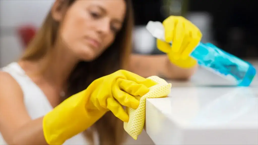 How a Recurring Cleaning Service Keeps Your Home Pristine Year-Round