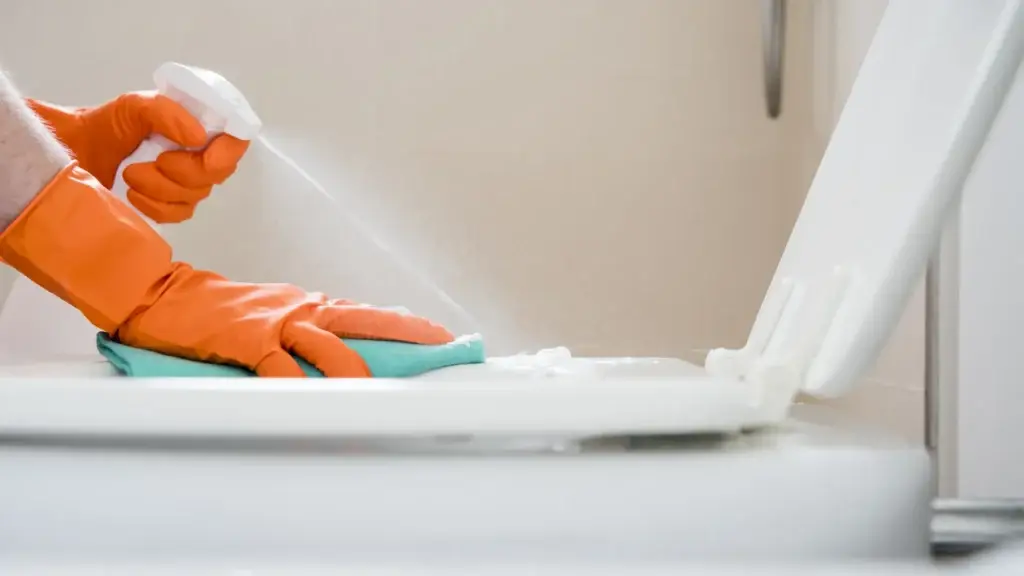 Toilet Ring Stains: What Causes Them and the Best Way to Remove Them