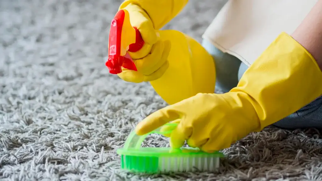 How to Clean Up Cat Vomit: The Method That Prevents Permanent Stains
